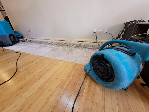 Professional Emergency Water Damage technician working in Eden Valley, MN